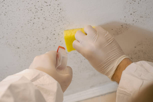 Best Mold Removal for HVAC Installations  in Ramapo College Of New Jersey, NJ